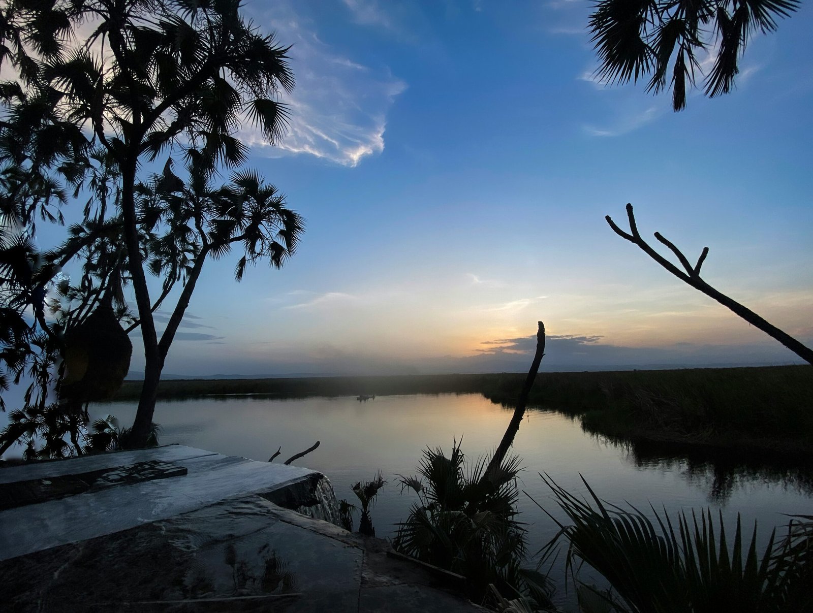 a body of water surrounded by palm trees