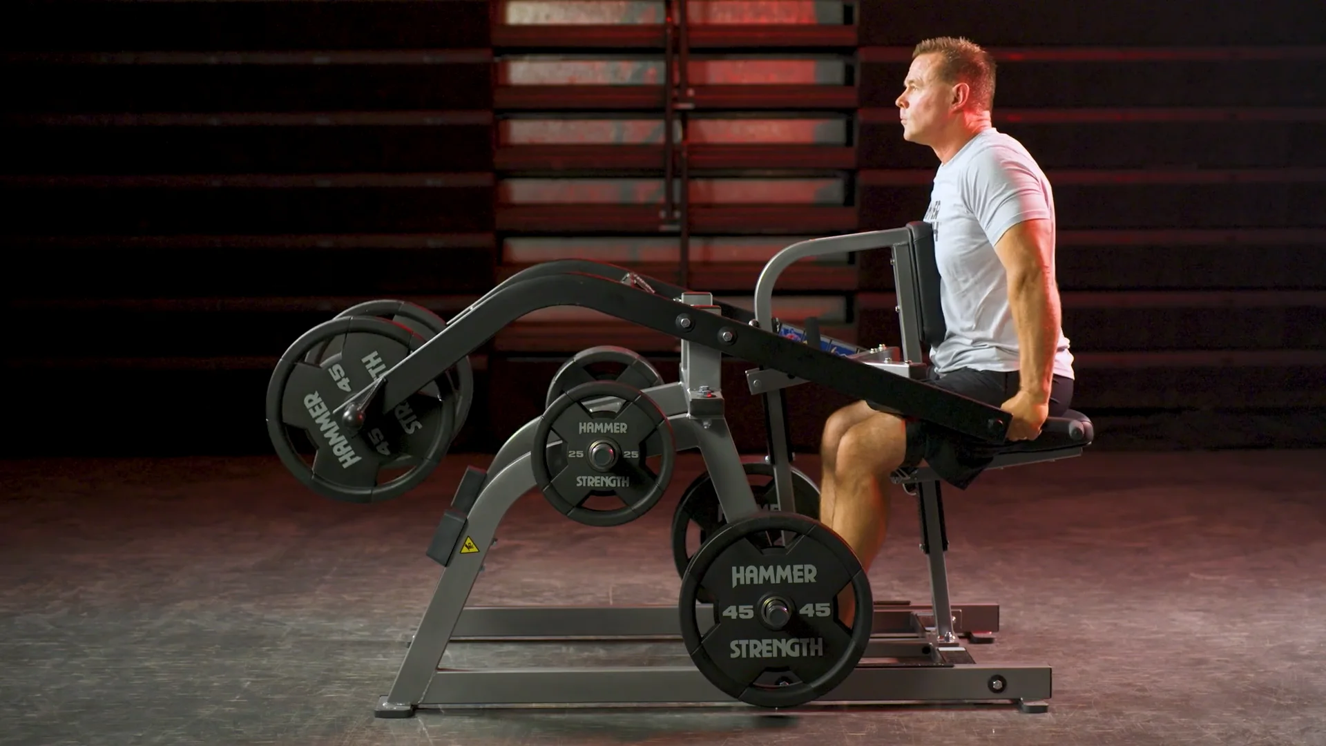 tricep dip machine